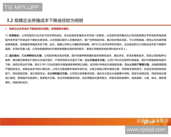 杭州足球队比赛经验分析与提升策略探讨