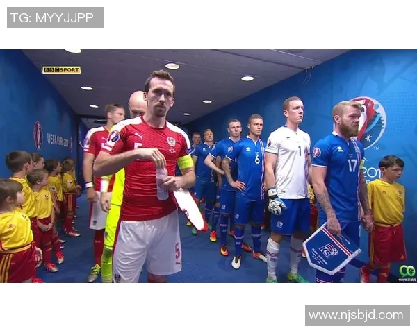 2016年奥地利对阵冰岛精彩直播回顾与赛后分析